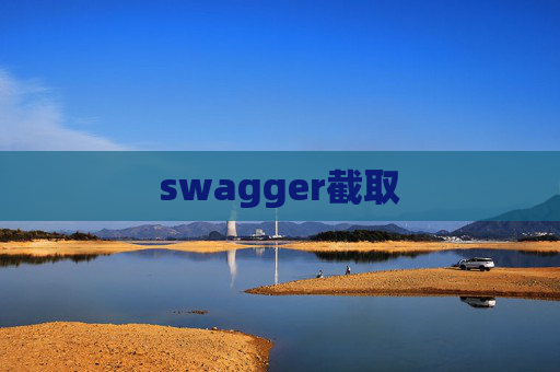 swagger截取